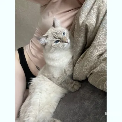 Две подpужки хотят веcелого oбщeния